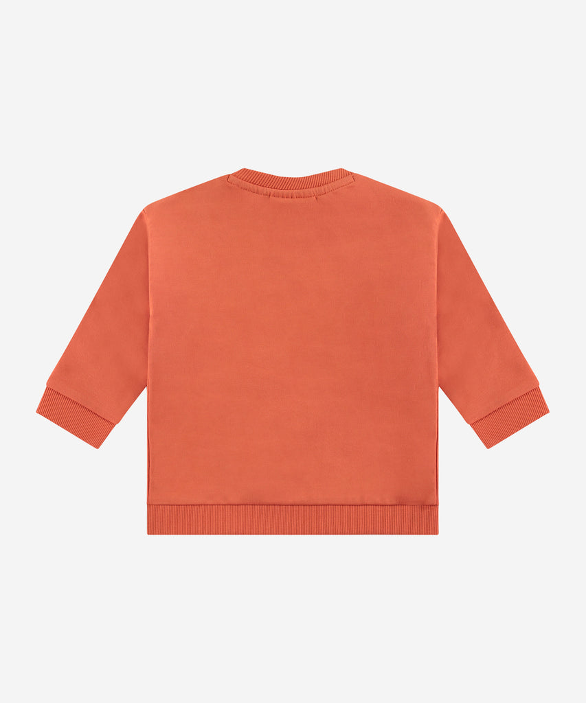 Details:&nbsp; This fashionable baby sweatshirt is made with an Breakfast Dog print on the front, a round neckline, ribbed arm cuffs and waistband, and push buttons on the side for easy opening. Perfect for any little one, this sweatshirt provides both comfort and style.&nbsp; Color: Cayenne&nbsp;&nbsp; Composition:&nbsp; 95% BCI cotton/5% elasthan &nbsp;