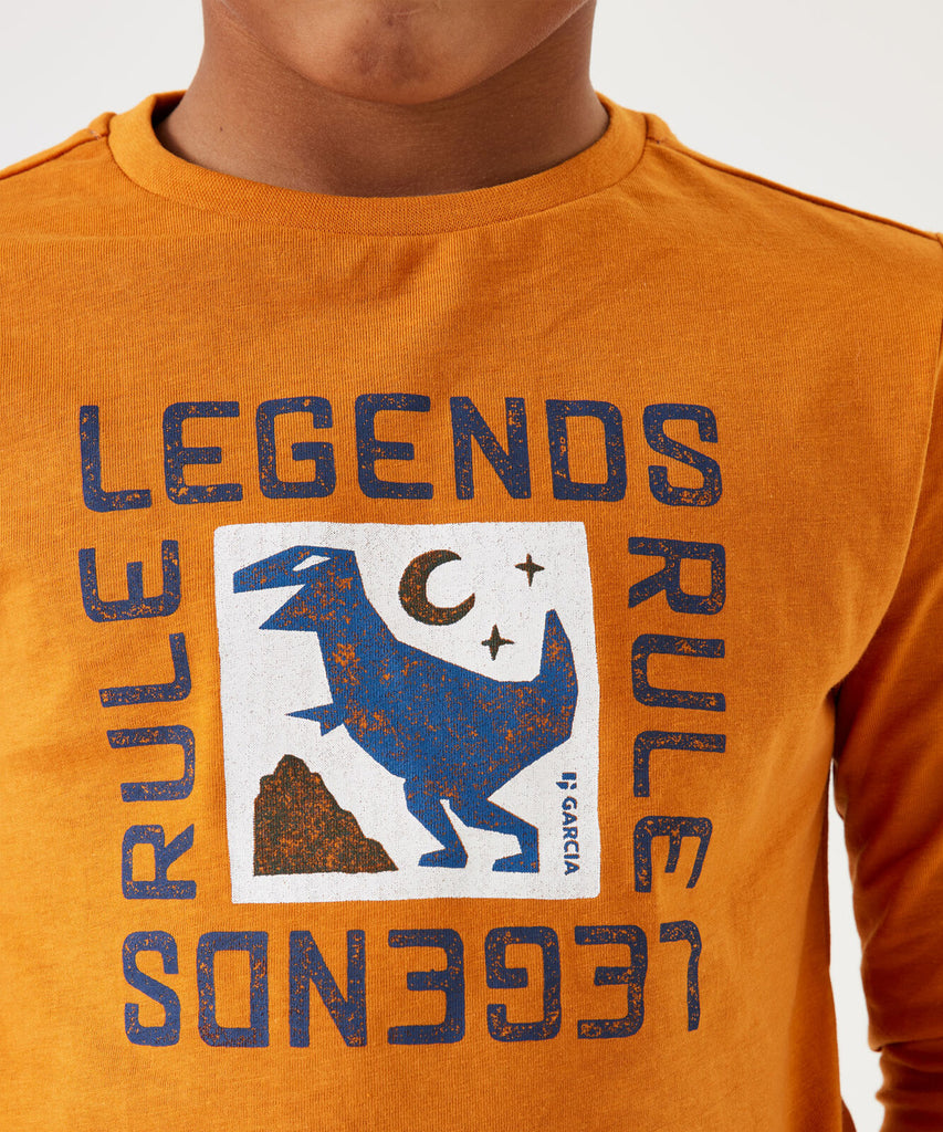 Details: &nbsp;Enhance your casual look with our LS T-Shirt Legends in halloween orange. This long-sleeved t-shirt features a classic round neckline. The 'Legends' print on the front adds a touch of playfulness to your outfit. Stay comfortable and stylish in this versatile shirt. &nbsp; Color:&nbsp; Halloween orange&nbsp;&nbsp; Composition:&nbsp; 100% Cotton &nbsp;