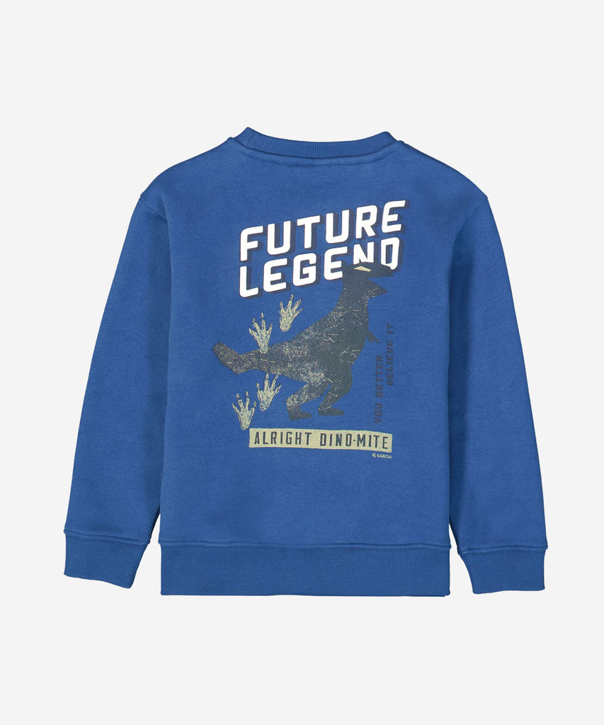 Details:&nbsp; &nbsp;This dew blue sweater features a round neckline and ribbed arm cuffs and waistband. The text and print 'Future Legend' on the back adds a unique touch. Stay warm and stylish in this must-have piece, perfect for any fashion-forward individual. &nbsp; Color: Dew blue&nbsp; Composition:&nbsp; 80% Cotton, 20% Polyester &nbsp;