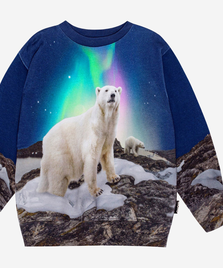 Details:&nbsp; Dark blue sweatshirt in organic cotton with a round neckline, ribbed cuffs and hem. The sweatshirt has a regular fit and a brushed inner face, making it soft and warm to wear. The print features the majestic polar bear mother under an evening sky with beautiful northern lights, while the polar bear father and two polar bear cubs are seen on the back. The snow under the polar bear is melted in several places, reminding us to take care of our beautiful planet and all the creatures that live her