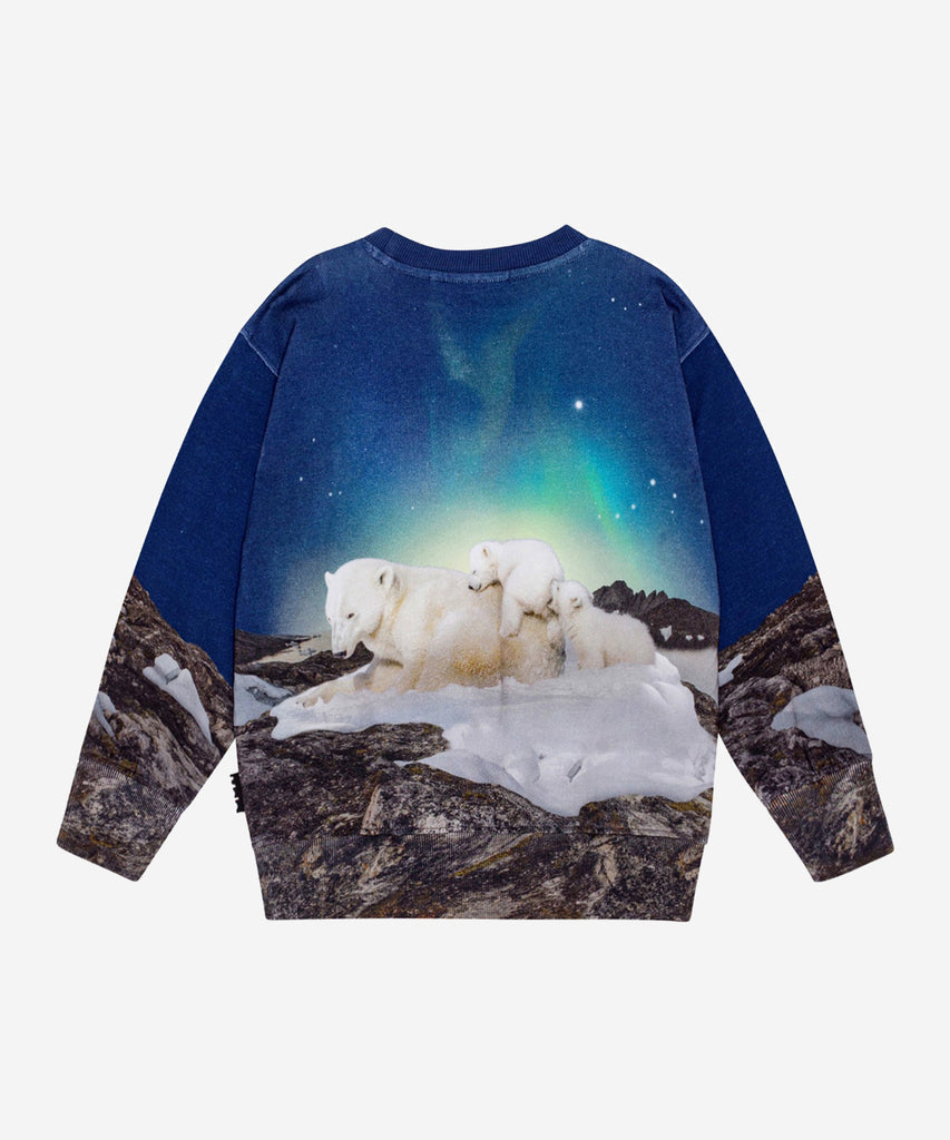 Details:&nbsp; Dark blue sweatshirt in organic cotton with a round neckline, ribbed cuffs and hem. The sweatshirt has a regular fit and a brushed inner face, making it soft and warm to wear. The print features the majestic polar bear mother under an evening sky with beautiful northern lights, while the polar bear father and two polar bear cubs are seen on the back. The snow under the polar bear is melted in several places, reminding us to take care of our beautiful planet and all the creatures that live her