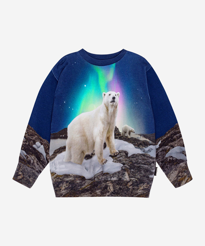 Details:&nbsp; Dark blue sweatshirt in organic cotton with a round neckline, ribbed cuffs and hem. The sweatshirt has a regular fit and a brushed inner face, making it soft and warm to wear. The print features the majestic polar bear mother under an evening sky with beautiful northern lights, while the polar bear father and two polar bear cubs are seen on the back. The snow under the polar bear is melted in several places, reminding us to take care of our beautiful planet and all the creatures that live her